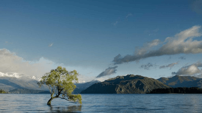 Baking - professional stock photography