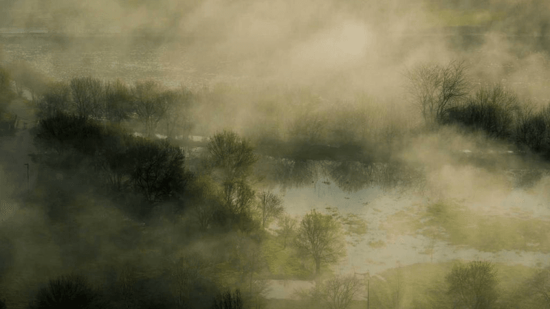 Baking - professional stock photography