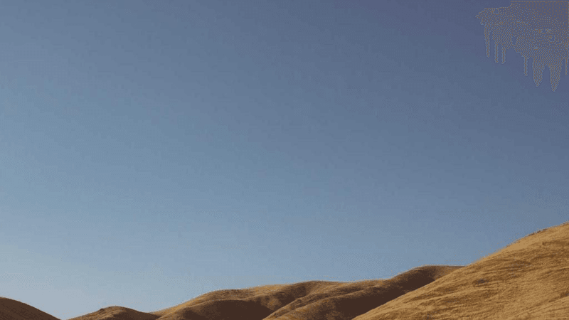 Baking - professional stock photography