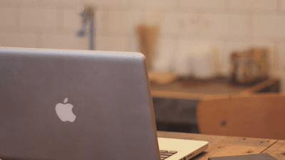 Barbecue - professional stock photography