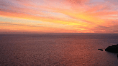 Barbecue - professional stock photography