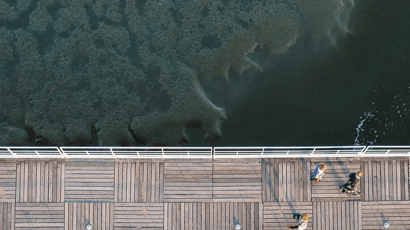 Bread - professional stock photography