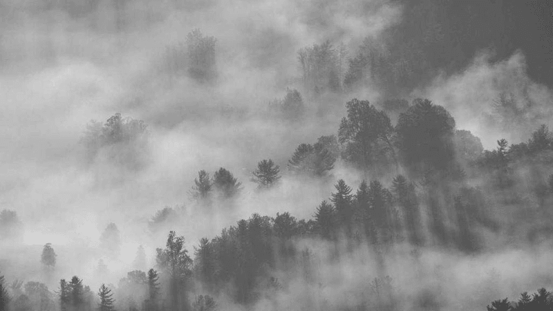 Cake - professional stock photography