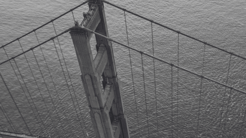 Cake - professional stock photography