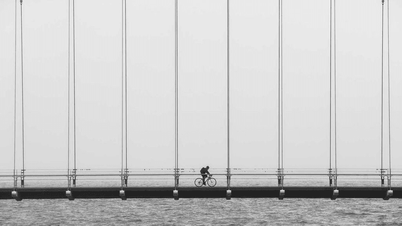 Cake - professional stock photography