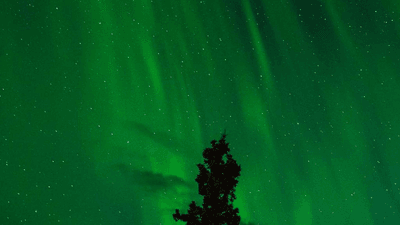 Cake - professional stock photography