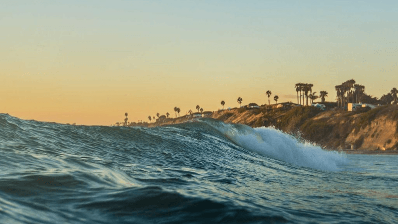 Cake - professional stock photography