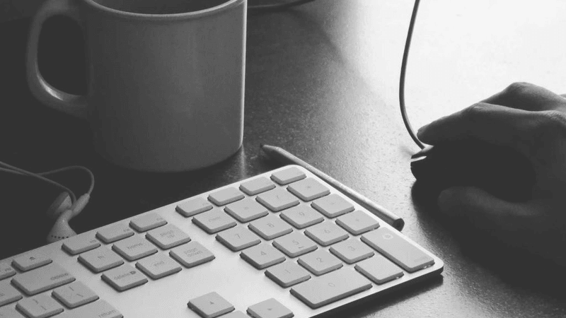 Cake - professional stock photography