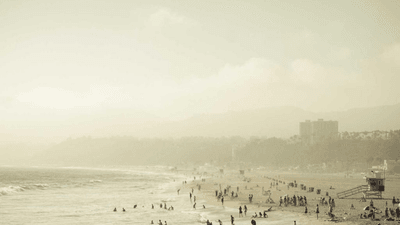 Cake - professional stock photography