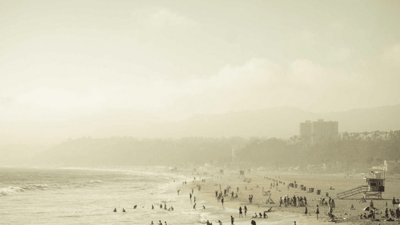 Cake - professional stock photography