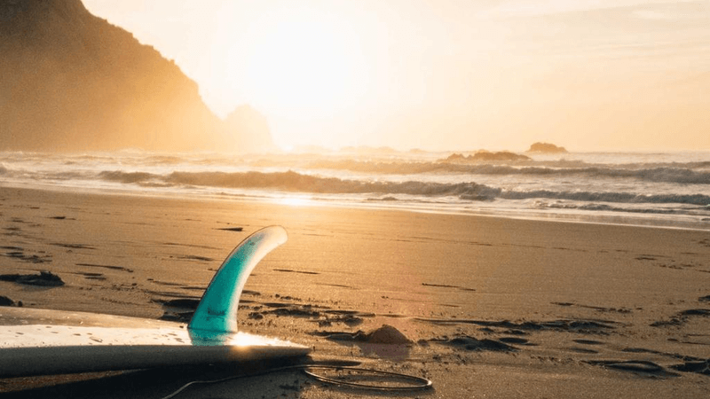 Dessert - professional stock photography