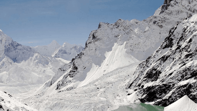 Dessert - professional stock photography