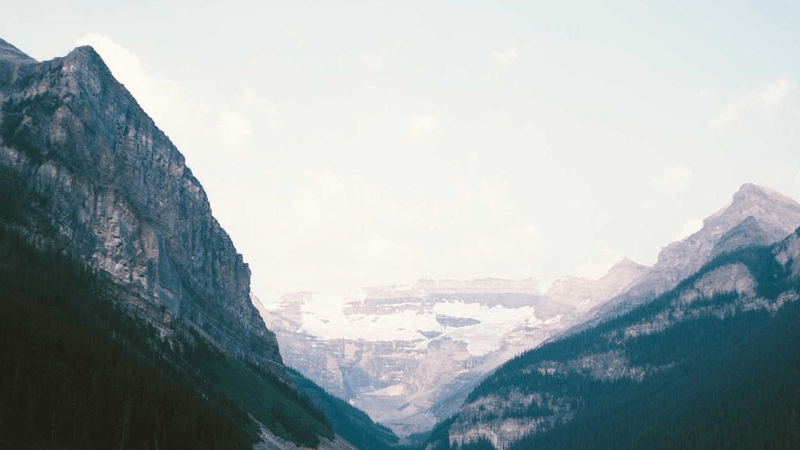 Grilling - professional stock photography