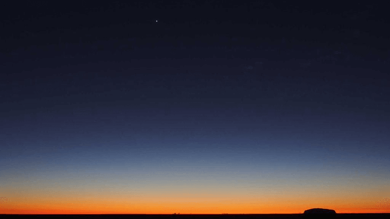 Grilling - professional stock photography