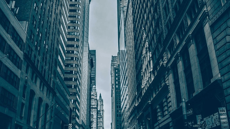 Herbs - professional stock photography