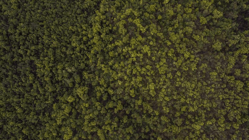 Kitchen - professional stock photography