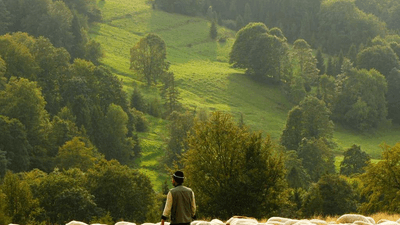 Kitchen - professional stock photography