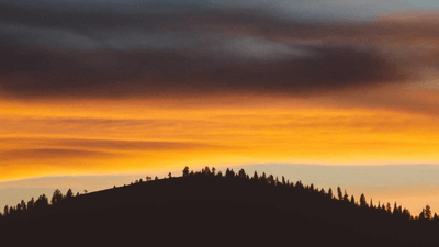 Pasta - professional stock photography