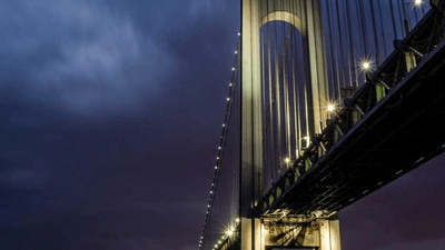 Pizza - professional stock photography