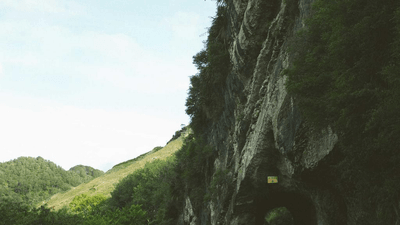 Salad - professional stock photography