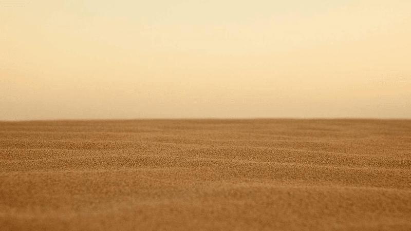 Salad - professional stock photography