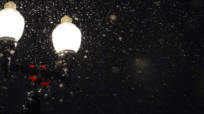 Salad - professional stock photography