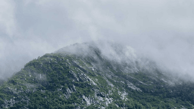 Salad - professional stock photography