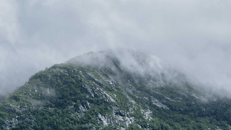 Salad - professional stock photography
