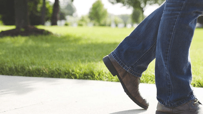 Seafood - professional stock photography