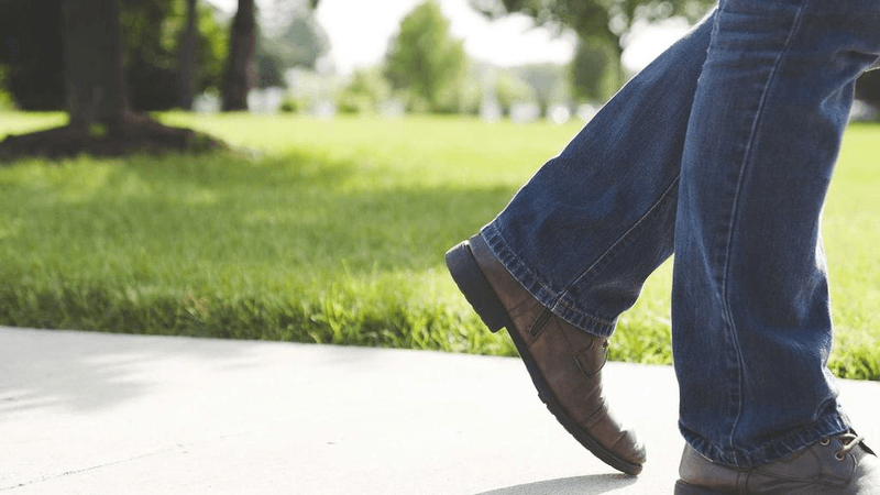 Seafood - professional stock photography