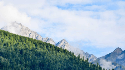 Seafood - professional stock photography