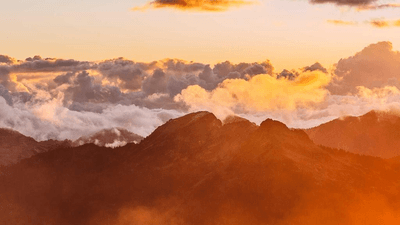 Seafood - professional stock photography