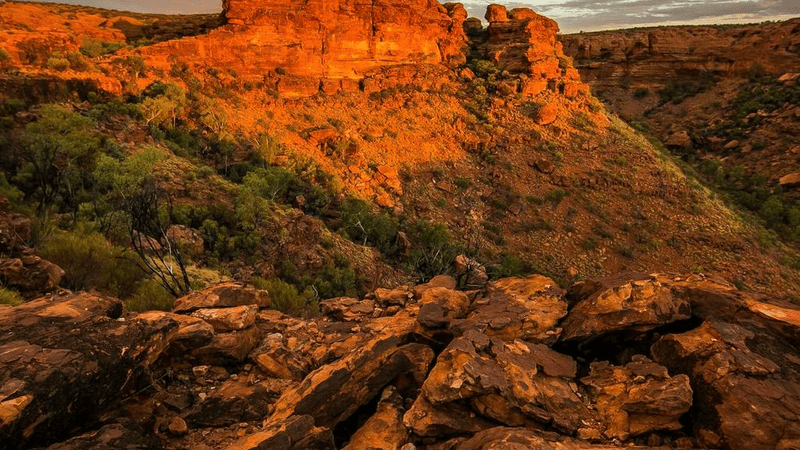 Smoothie - professional stock photography