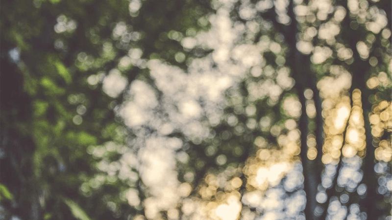 Soup - professional stock photography