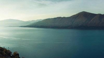 Spices - professional stock photography