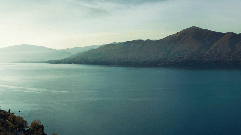 Spices - professional stock photography