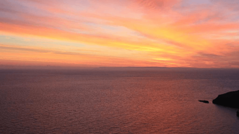 Spices - professional stock photography
