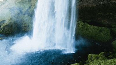 Vegetables - professional stock photography
