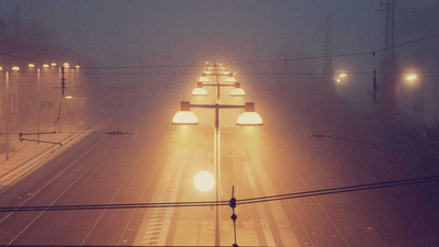Vegetables - professional stock photography