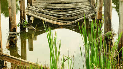 Wok - professional stock photography